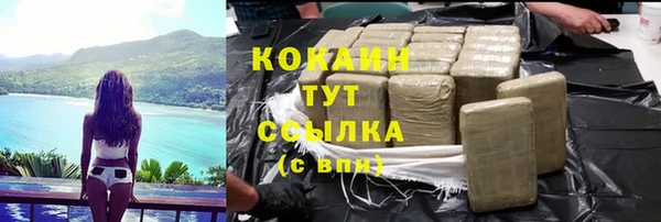 ПСИЛОЦИБИНОВЫЕ ГРИБЫ Алзамай
