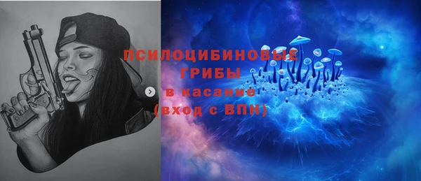 ПСИЛОЦИБИНОВЫЕ ГРИБЫ Алзамай