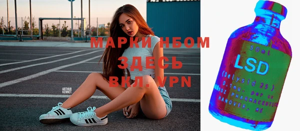 ПСИЛОЦИБИНОВЫЕ ГРИБЫ Алзамай