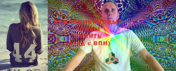 spice Алексин